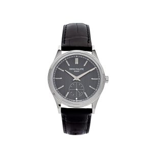 Calatrava 6119G-001 White Gold Grey Dial (2023)